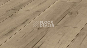 Ламинат Kronotex Exquisit 8мм d4697 Орех Валлис фото 1 | FLOORDEALER